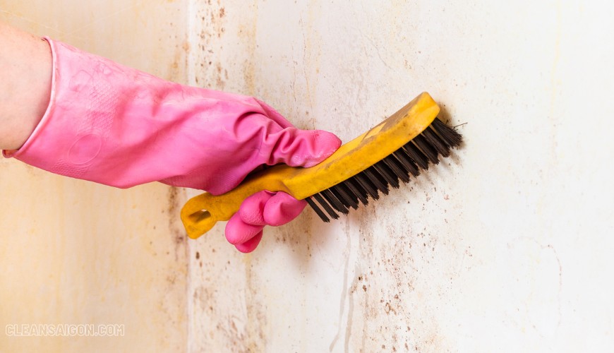dịch vụ dọn vệ sinh căn hộ